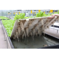水耕系を備えた農業ポリカーボネート温室